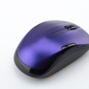 Mouse