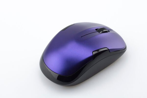 Mouse